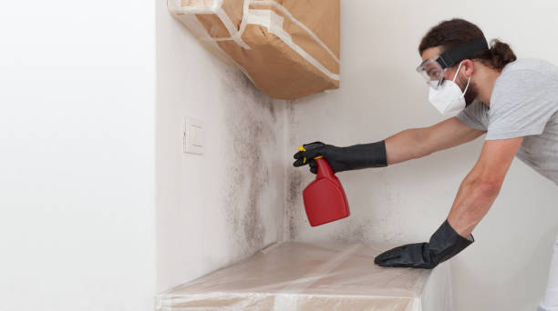 Professional Bathroom Mold Removal technician working in Bridgewater, NJ