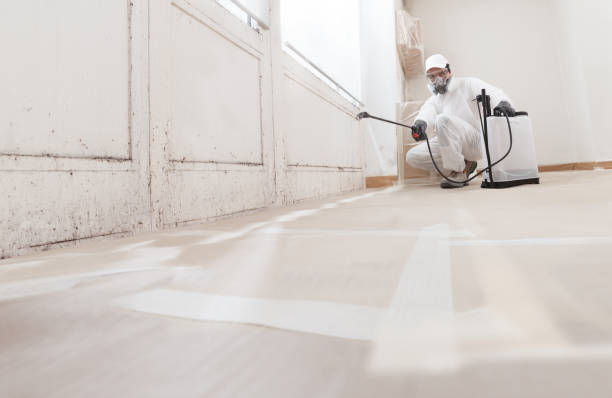 24/7 Emergency Bathroom Mold Removal experts in Bridgewater, NJ